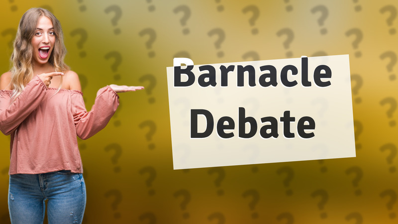 Barnacle Debate