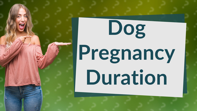 Dog Pregnancy Duration