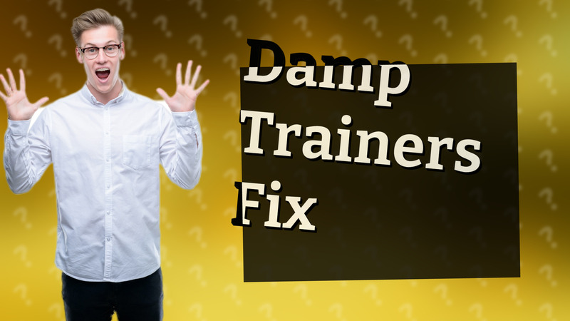 Damp Trainers Fix