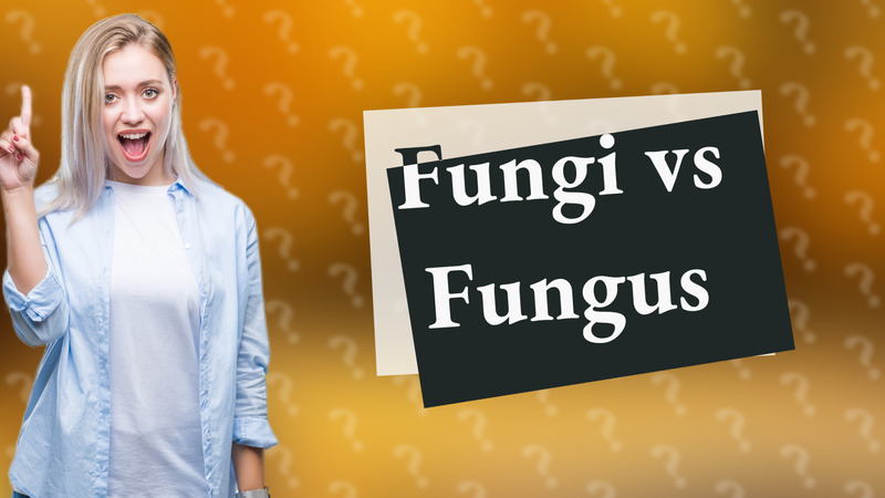 Fungi vs Fungus