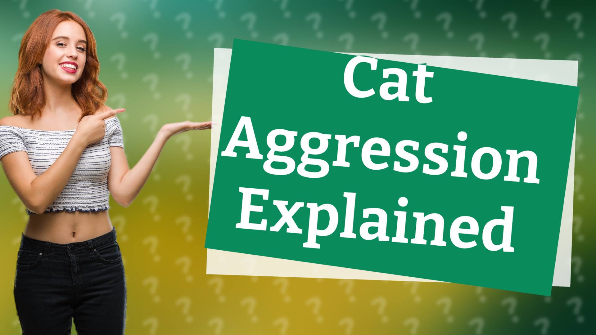 Cat Aggression Explained