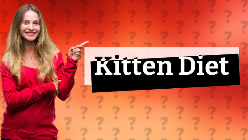 Kitten Diet