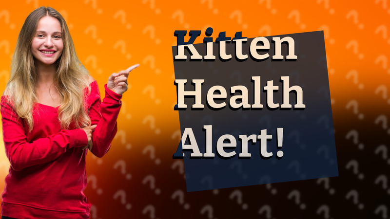 Kitten Health Alert!