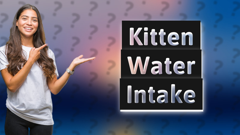 Kitten Water Intake