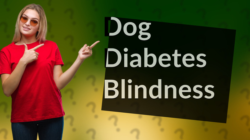 Dog Diabetes Blindness