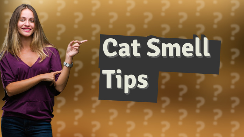 Cat Smell Tips
