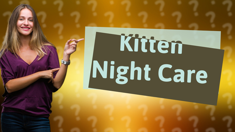 Kitten Night Care