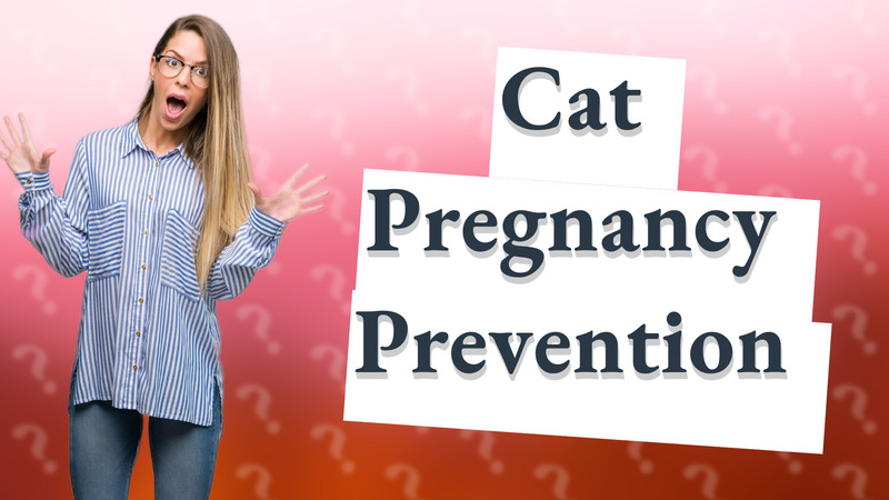 Cat Pregnancy Prevention