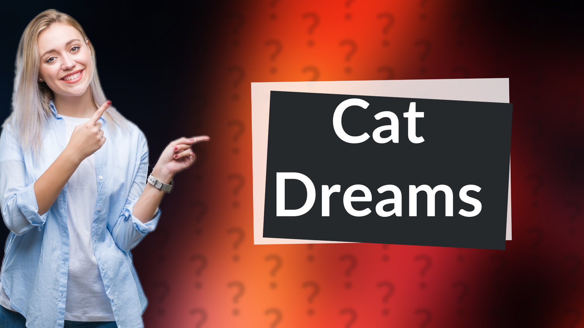 Cat Dreams