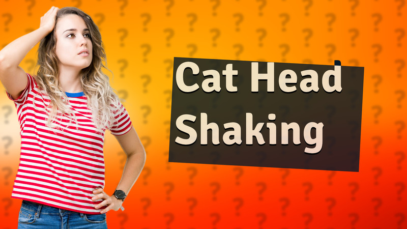 Cat Head Shaking