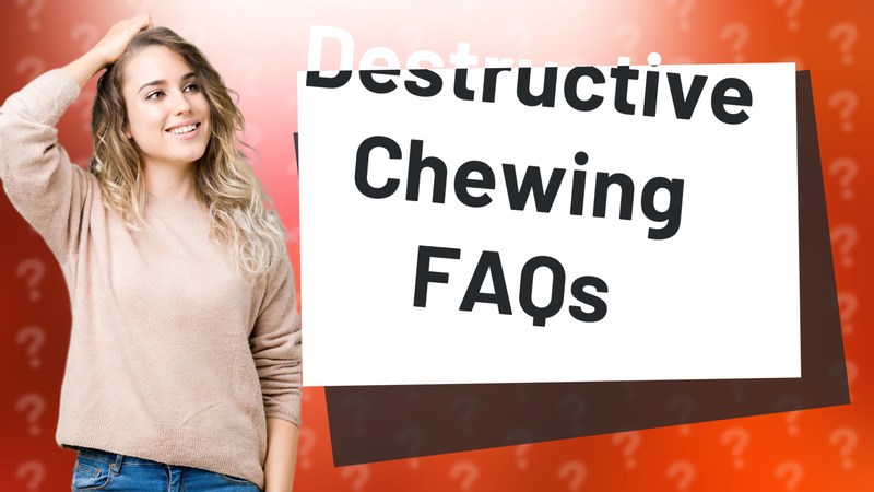 Destructive Chewing FAQs