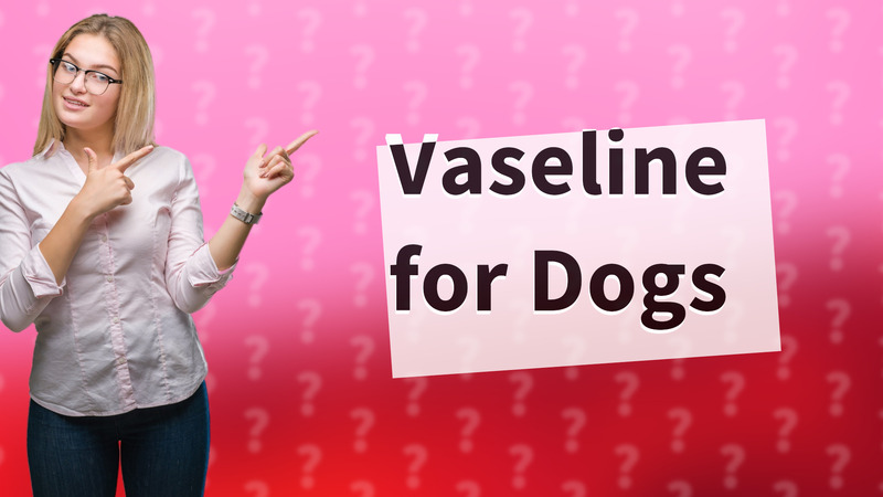 Vaseline for Dogs