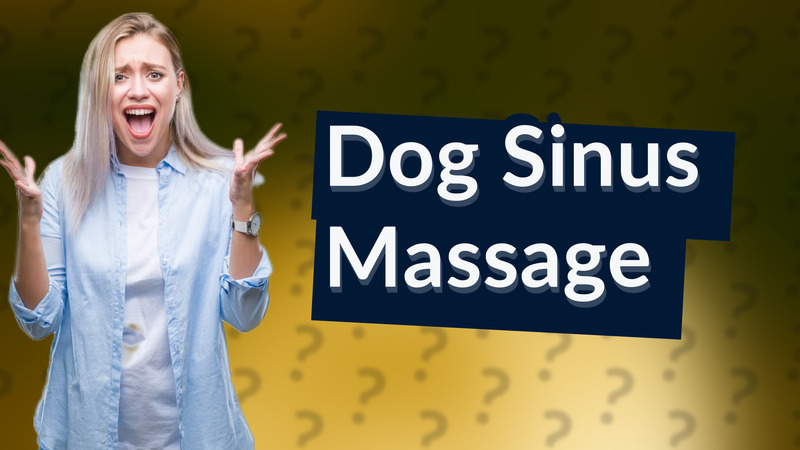Dog Sinus Massage