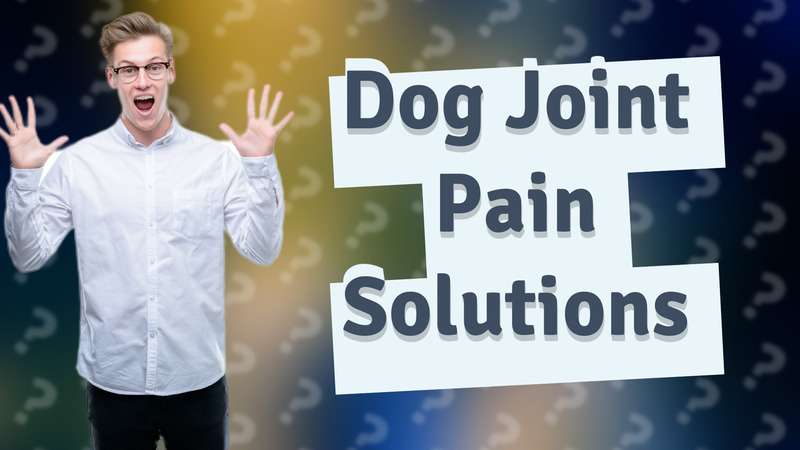 Dog Joint Pain Solutions