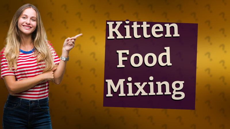 Kitten Food Mixing