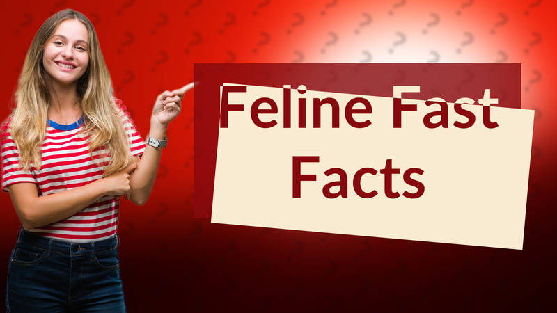 Feline Fast Facts
