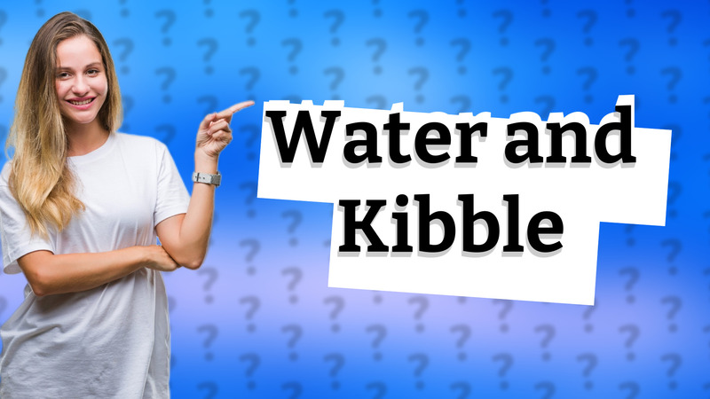 Water and Kibble