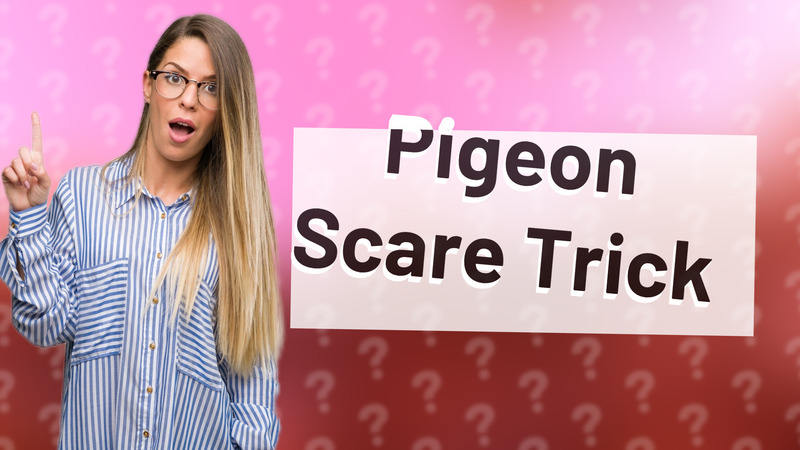 Pigeon Scare Trick