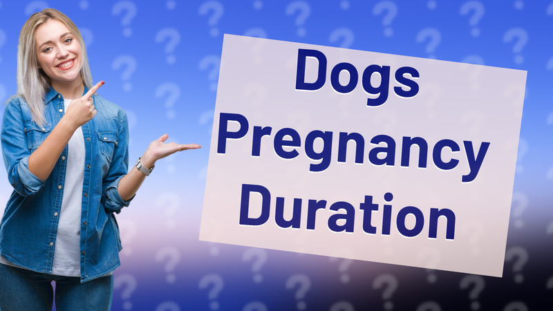 Dogs Pregnancy Duration
