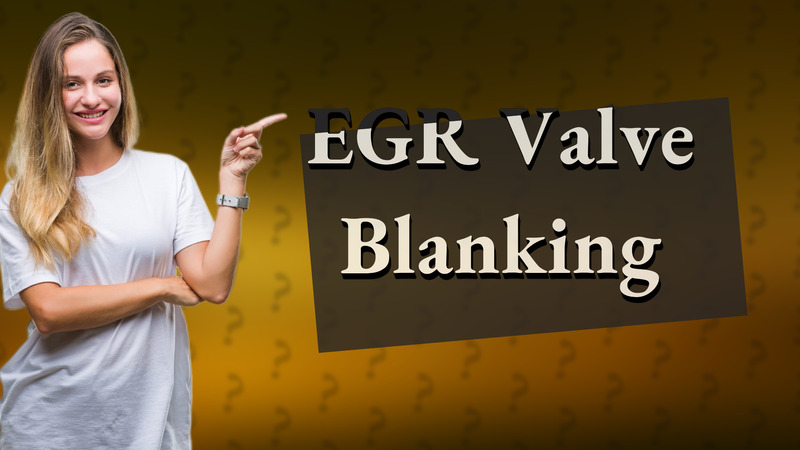 EGR Valve Blanking