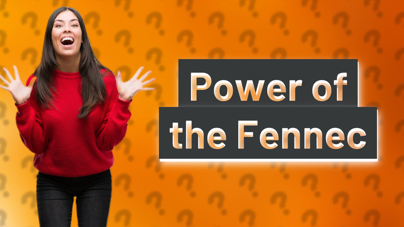 Power of the Fennec