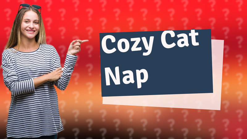 Cozy Cat Nap