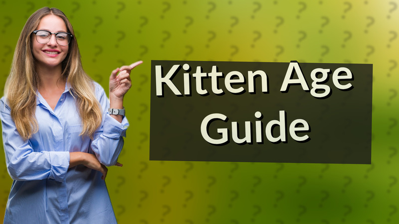 Kitten Age Guide