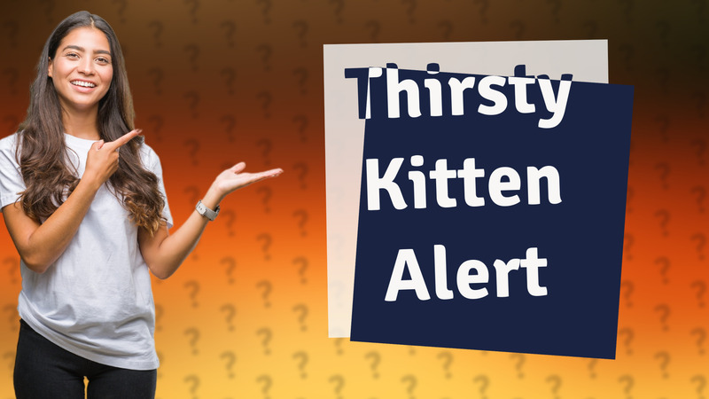 Thirsty Kitten Alert
