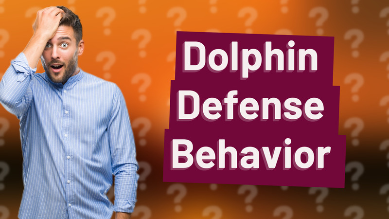 Dolphin Defense Behavior