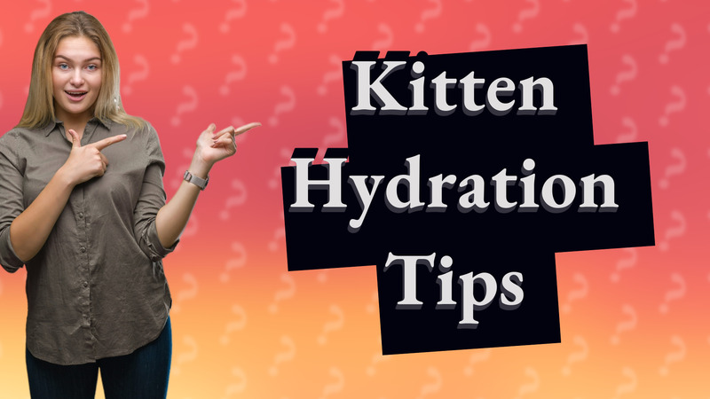 Kitten Hydration Tips