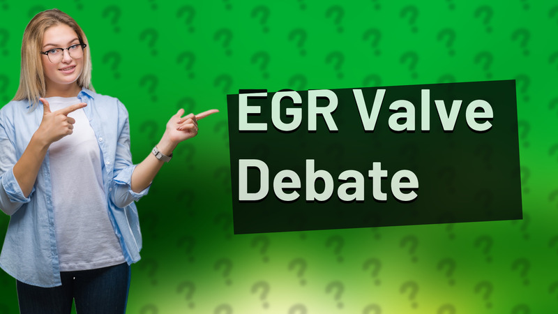 EGR Valve Debate