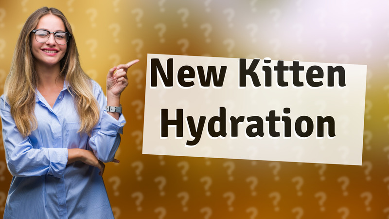 New Kitten Hydration