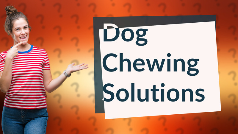Dog Chewing Solutions