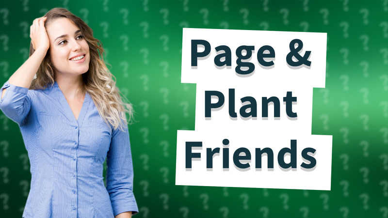 Page & Plant Friends