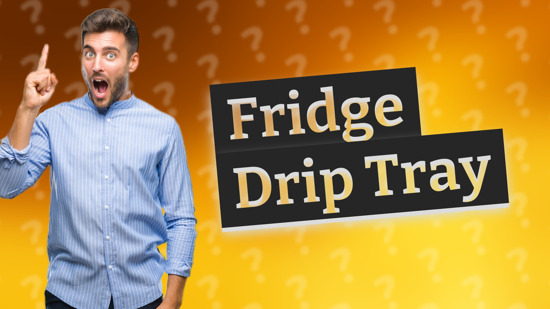 Fridge Drip Tray