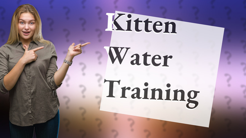 Kitten Water Training