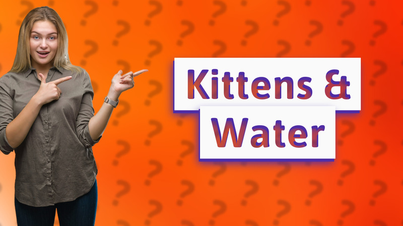 Kittens & Water
