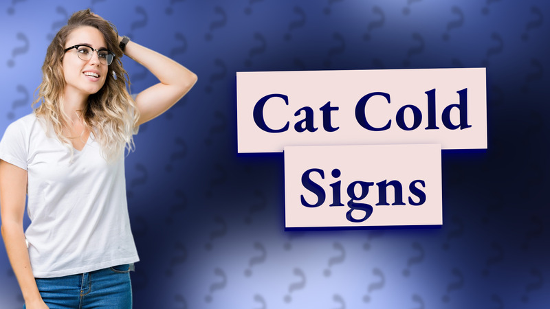 Cat Cold Signs