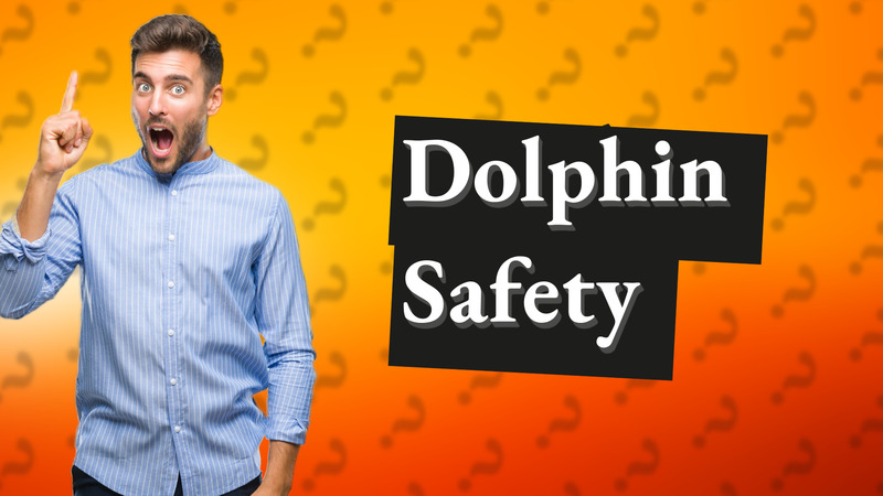 Dolphin Safety