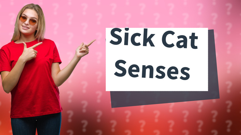 Sick Cat Senses