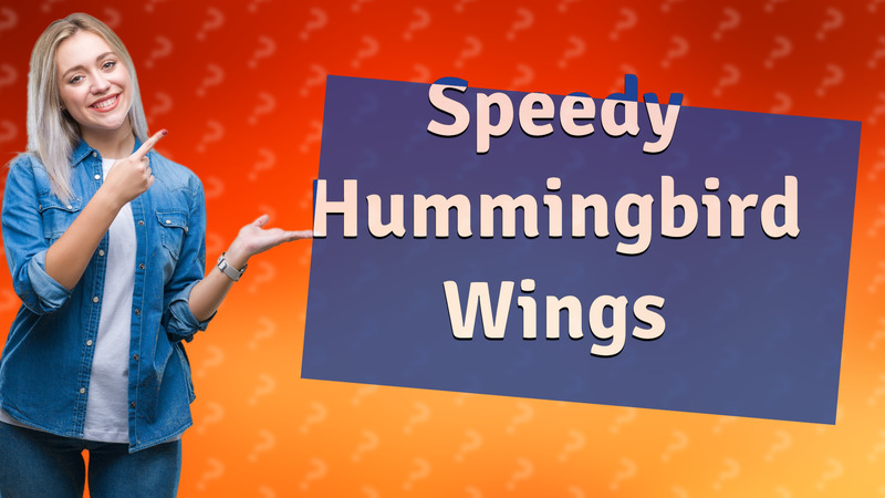 Speedy Hummingbird Wings