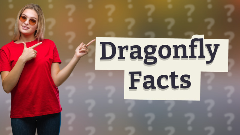 Dragonfly Facts