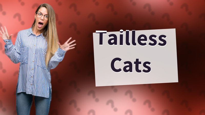 Tailless Cats
