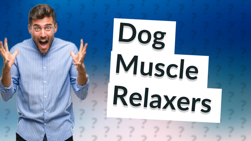 Dog Muscle Relaxers