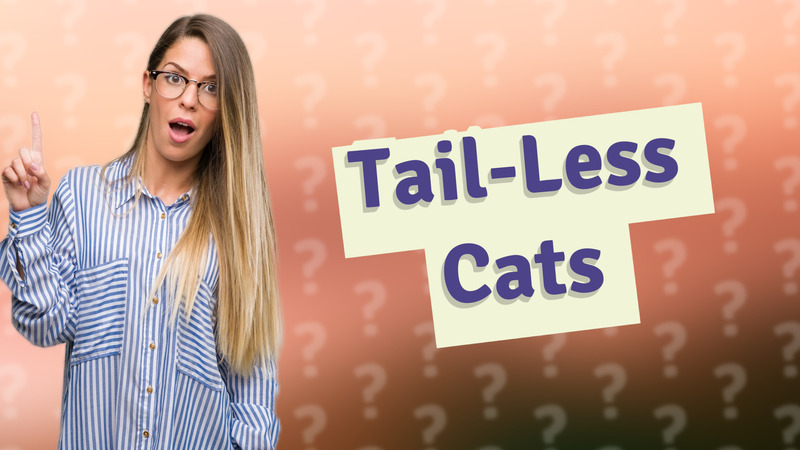 Tail-Less Cats