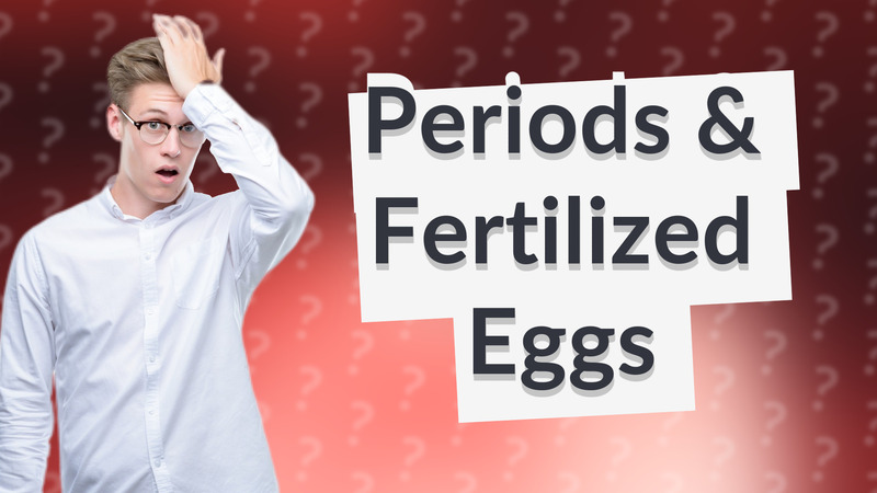 Periods & Fertilized Eggs
