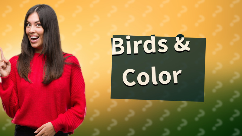 Birds & Color