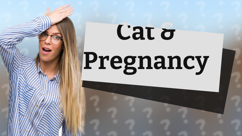 Cat & Pregnancy