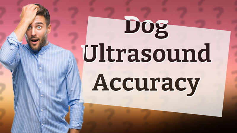Dog Ultrasound Accuracy