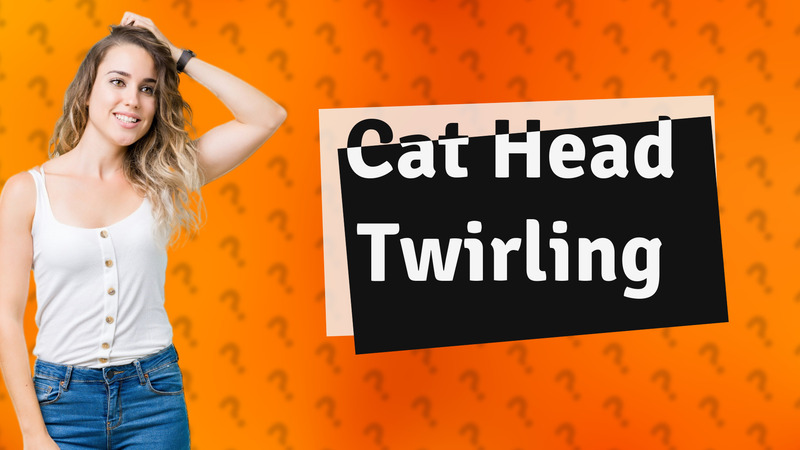 Cat Head Twirling